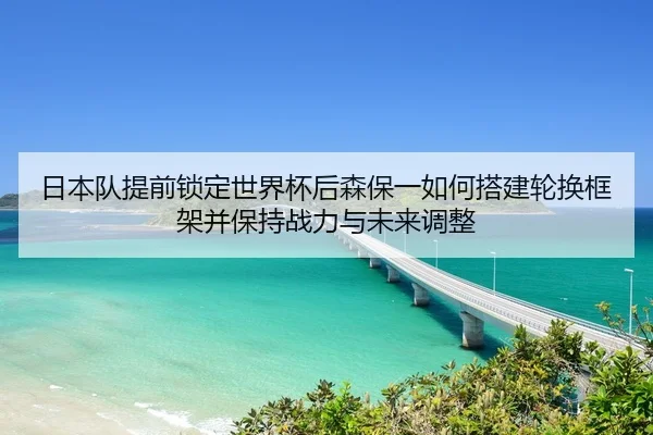 ri-ben-dui-ti-qian-suo-ding-shi-jie-bei-hou-sen-bao-yi-ru-he-da-jian-lun-huan-kuang-jia-bing-bao-chi-zhan-li-yu-wei-lai-2-536.jpg